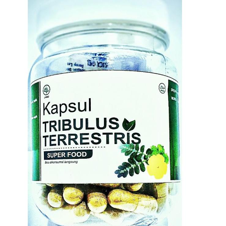 Best Kapsul Testosteron Booster Tribulus Tereis Peningkat Hormon Testosteron Suplemen Otot SQL