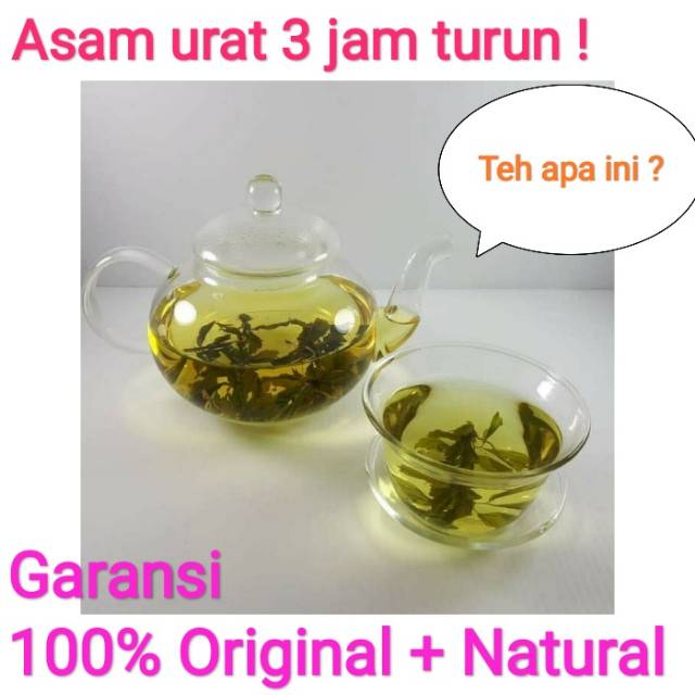 Tata Detox Herbal Asam Urat Paling Ampuh (Garansi Sembuh)