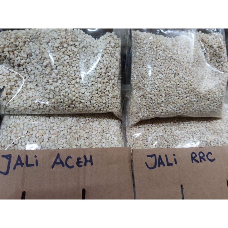 

jali aceh / ibi aceh / jali rrc BARLEY