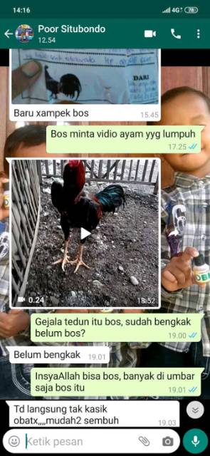 OBK OBAT LUMPUH AYAM