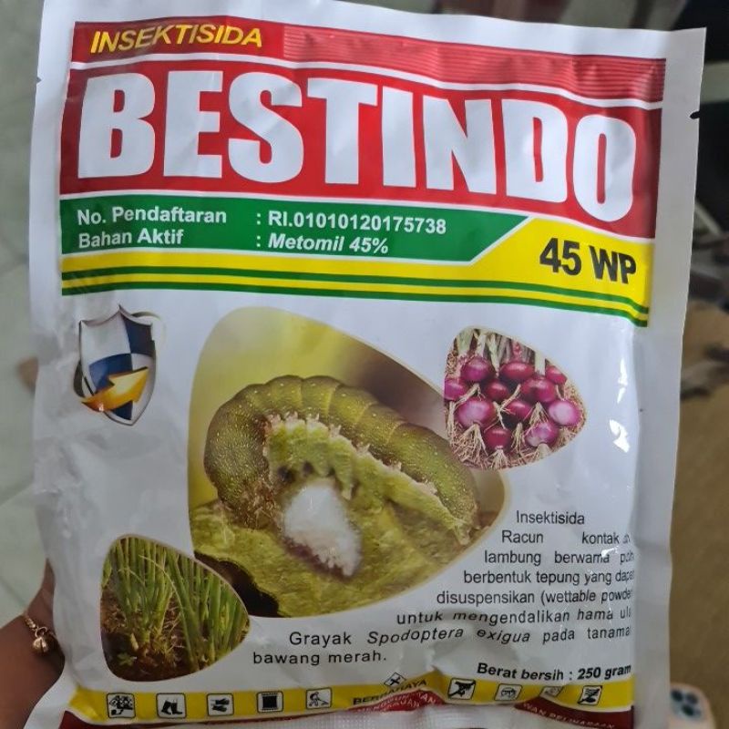 insektisida bestindo 250gr