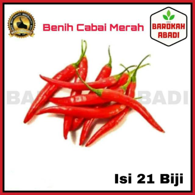 30 Benih Cabai Cabe Merah Besar F1 Landung - Bibit Sayuran Seribuan -  MERAH BESAR