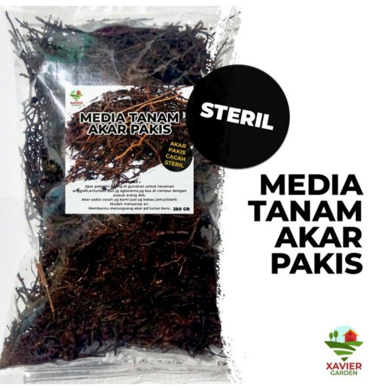 media tanam akar pakis cacah (untuk anggrek)