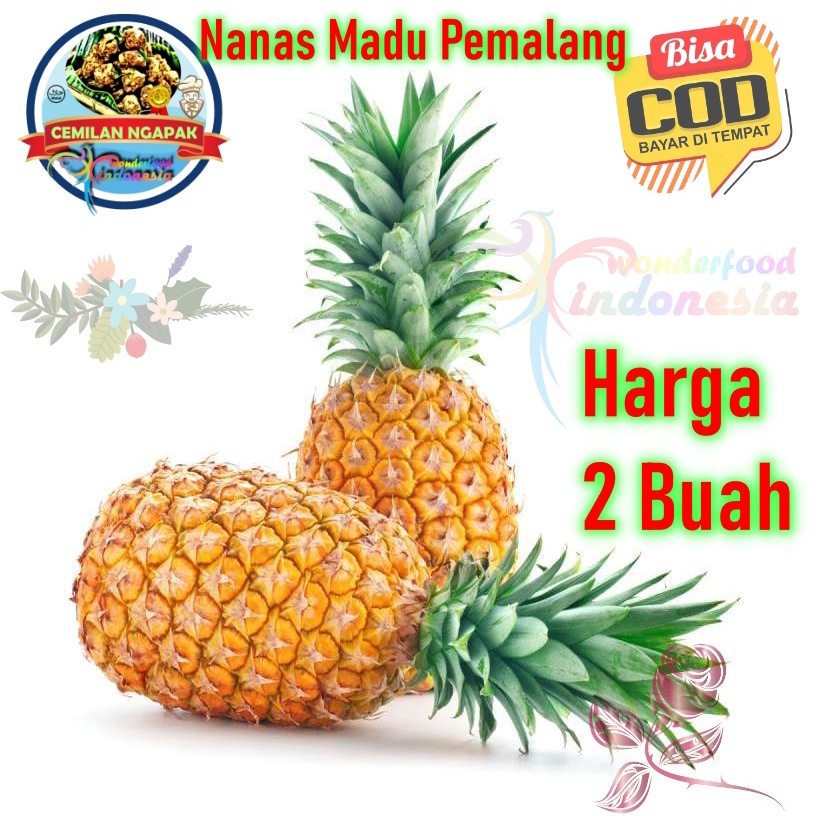 

Nanas Madu Khas Pemalang 2 Buah