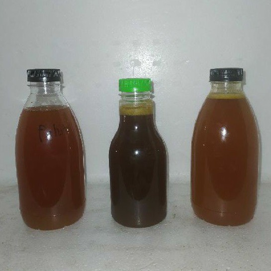 

Madu Hutan Liar