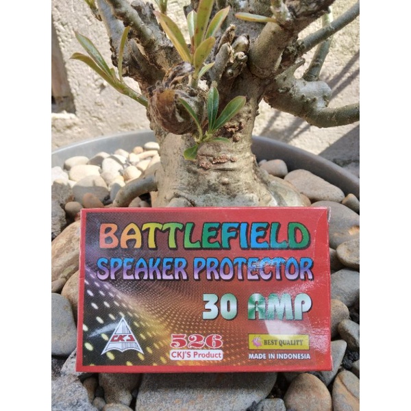 SPEAKER PROTEKTOR MONO 30A / SPEAKER PROTEKTOR MONO 526 CKJS