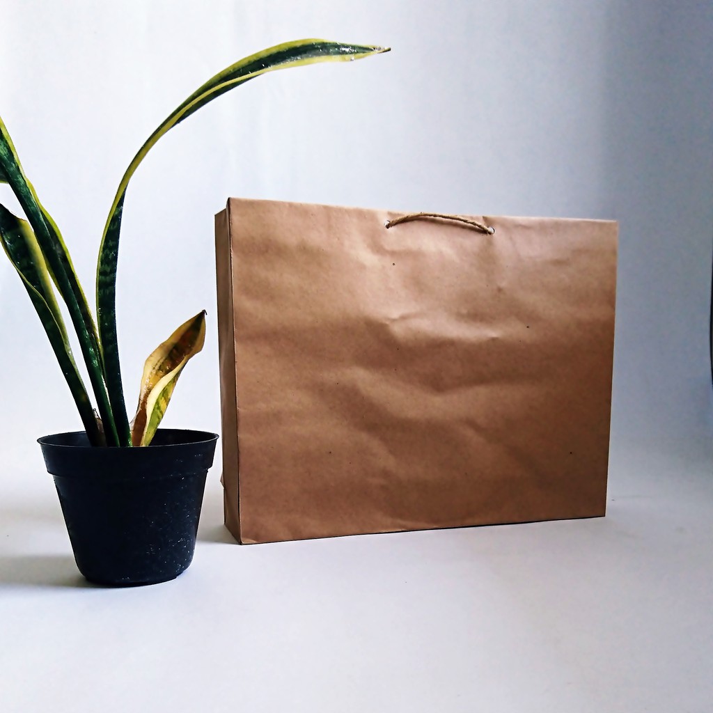

Paperbag custom 23x30x7cm Eco
