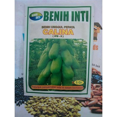 Benih Pepaya California Calina IPB 9