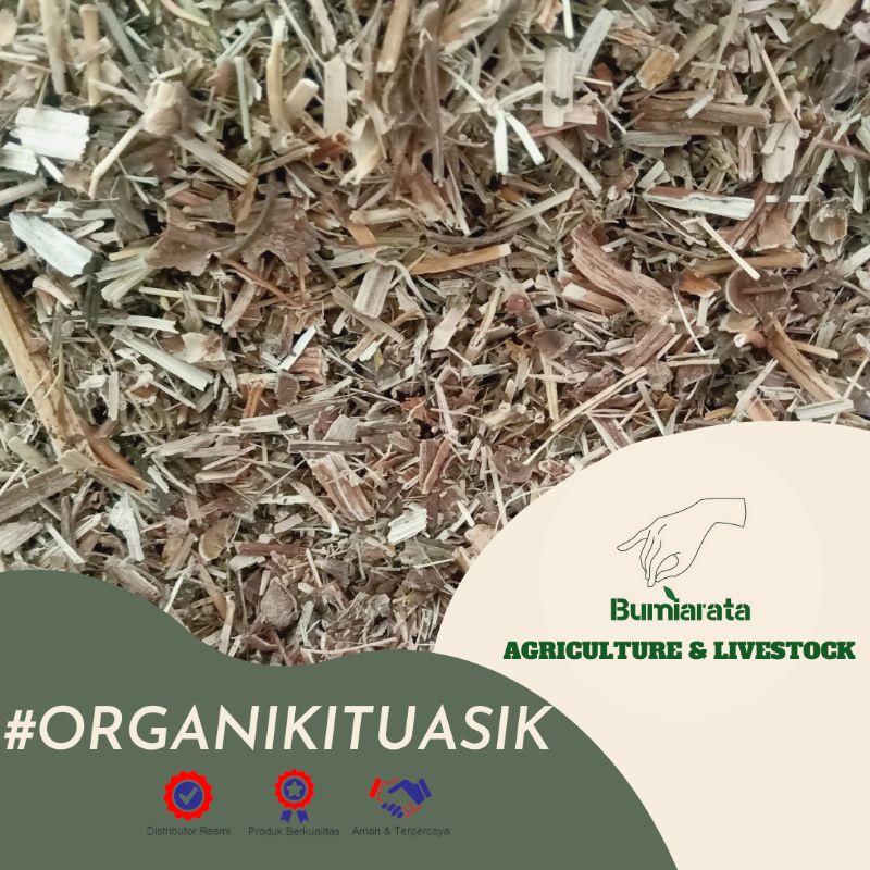 Hay Kangkung 100gr - Kangkung Kering - Pakan Kelinci Ayam Kambing Sapi - Premium Organic Feed