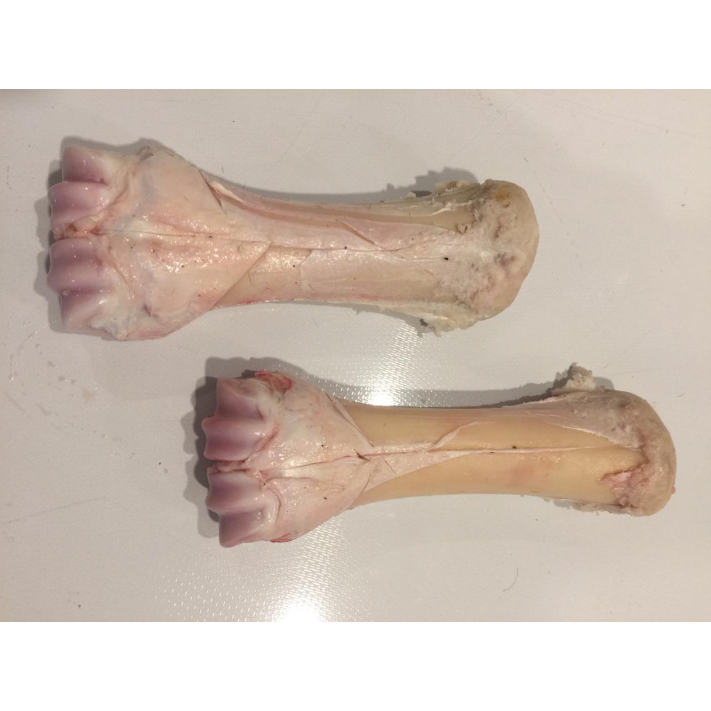 

TULANG SUMSUM SAPI POTONG 1KG / BONE MARROW