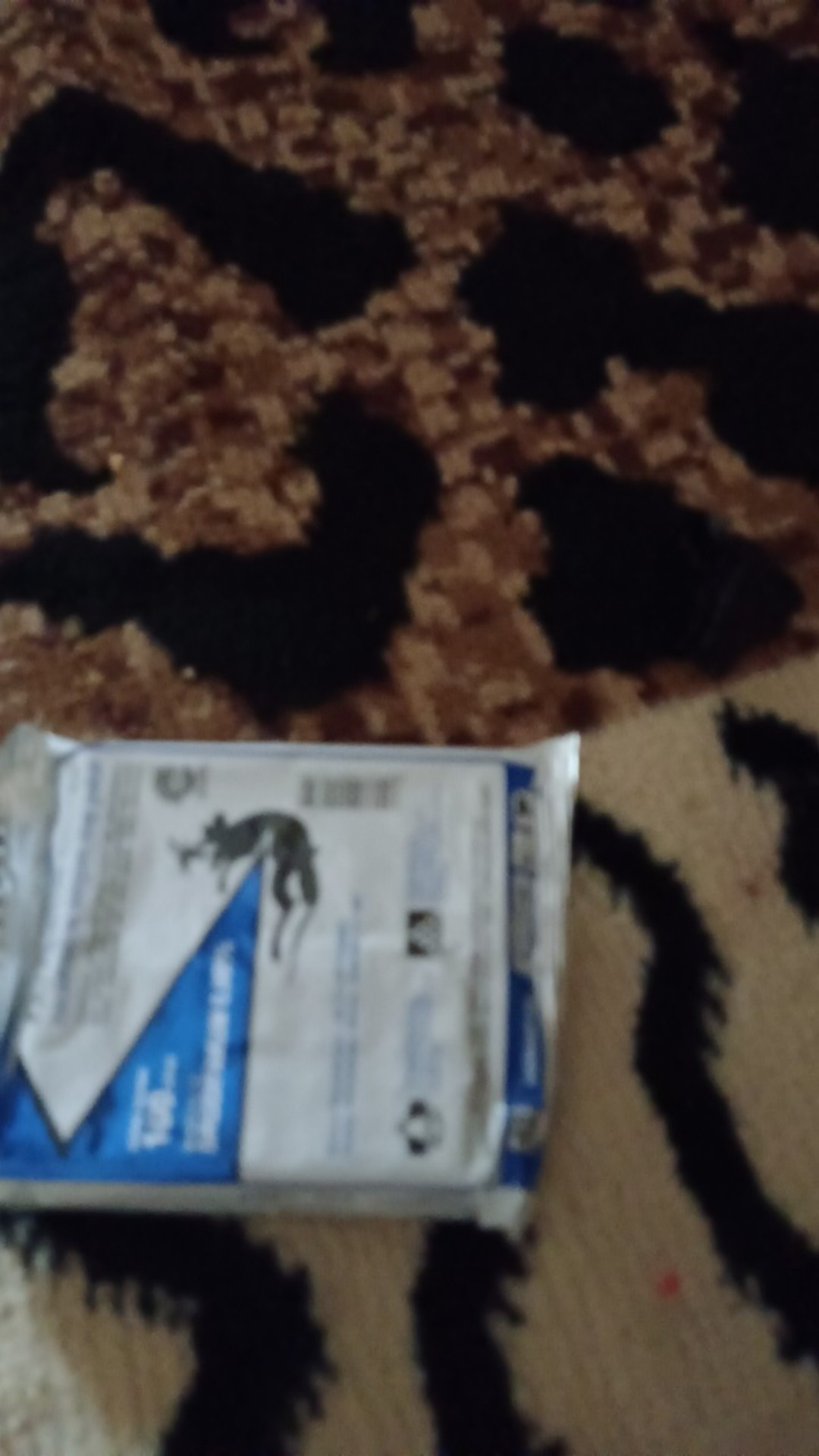 Racun Tikus Paling Ampuh Tidak Meninggalkan Bau Penjebak Jebakan Ampuh Membasmi Tikus Langsung Mati