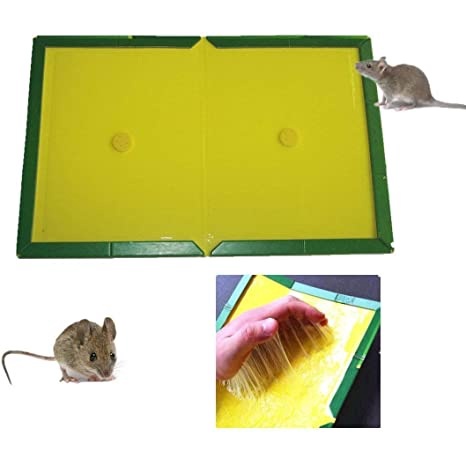 Hope Store - [IMPORT] Lem Tikus Paling Ampuh Model Papan Tidak Berbau