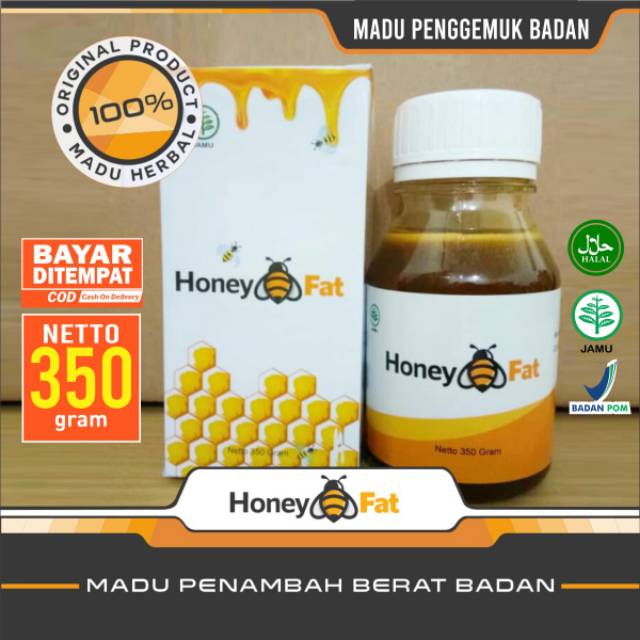 

Madu gemuk honeyfat