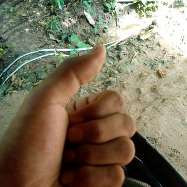 Sprayer Kyokan Pompa Air Semprotan