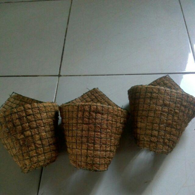 Pot Tempel / Pot Gantung / Pot Sabut Kelapa / Tanaman Anggrek / Dendrobium / Media Tanaman Anggrek