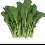 

SAYUR SAWI 400GR