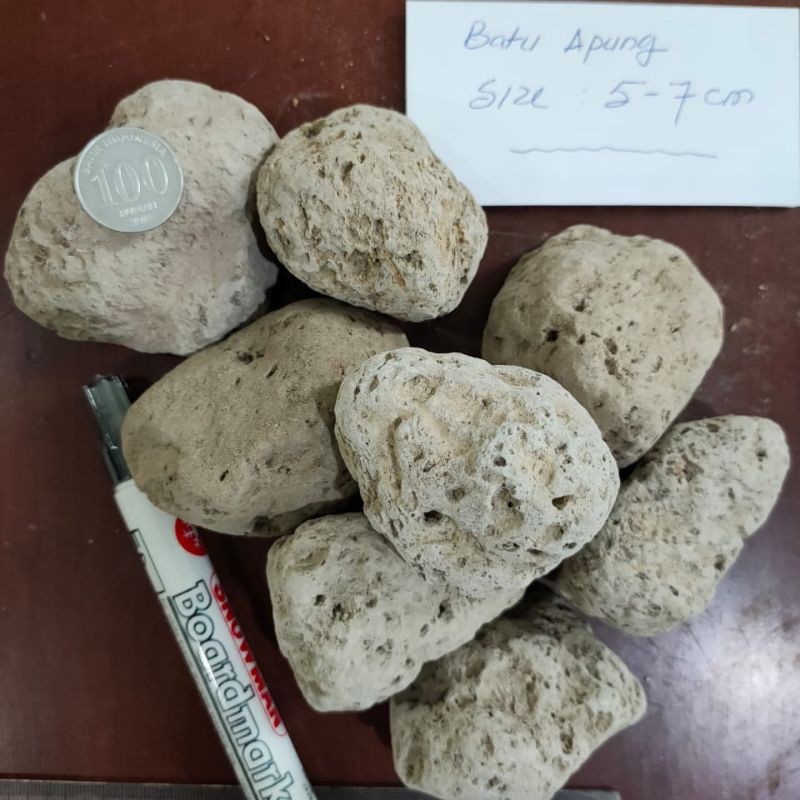 Batu Apung / Pumice Stone / Media Filter / Aquarium / Jeans 1kg 1 kg