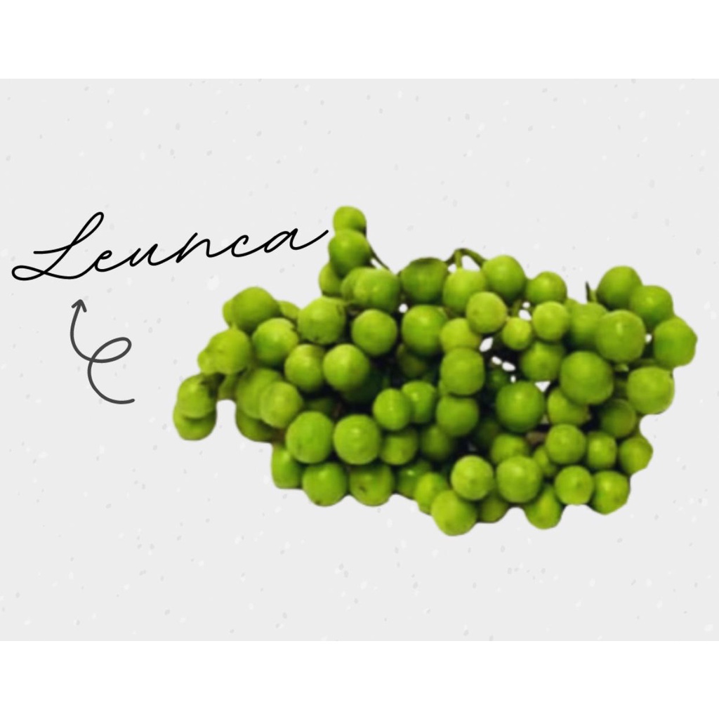 

Lenca / Leunca 250gram