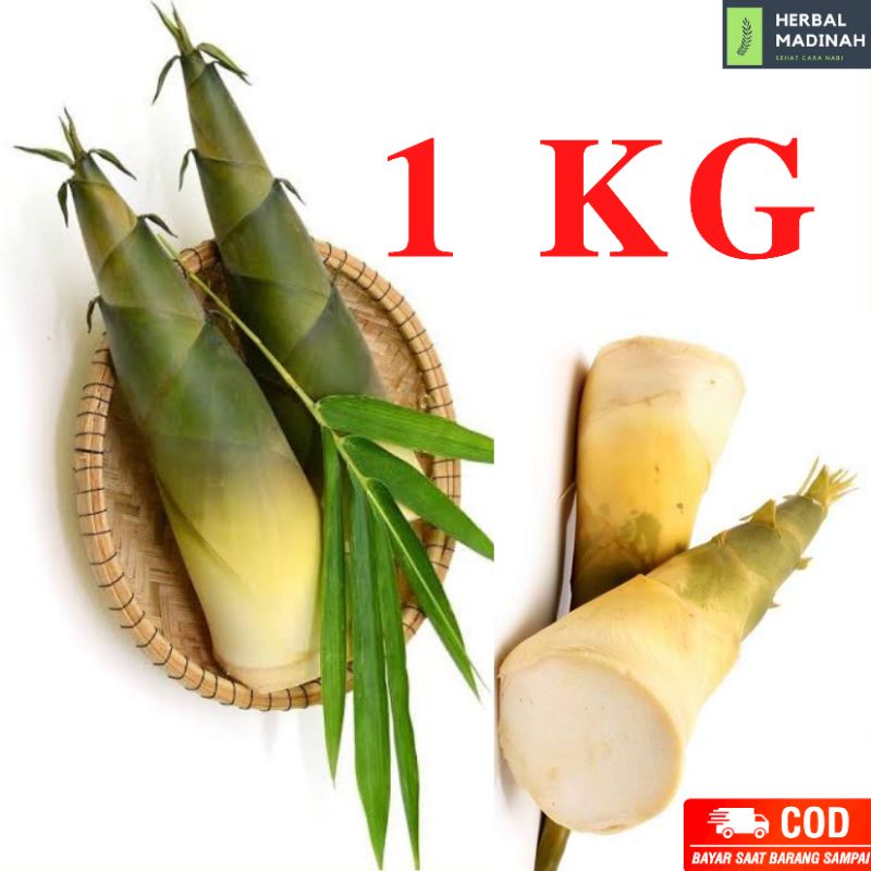 

Rebung bambu kuning asli herbal alami kanker inflamasi liver kolestrol stroke diet alami