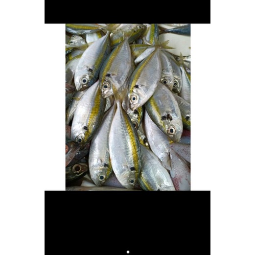 

ikan selar / 500 gram