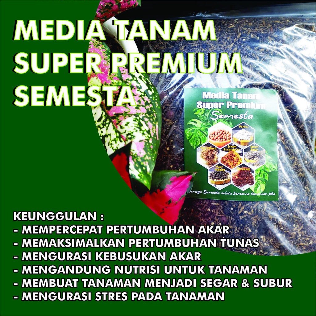 Media Tanam Super Premium - Media Tanam Aglaonema  / Media Tanam Fermentasi / Metan Aroid / Aglaonem