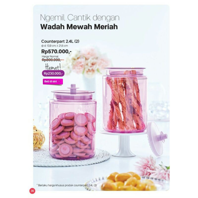 Counterpart 2,4L (1)