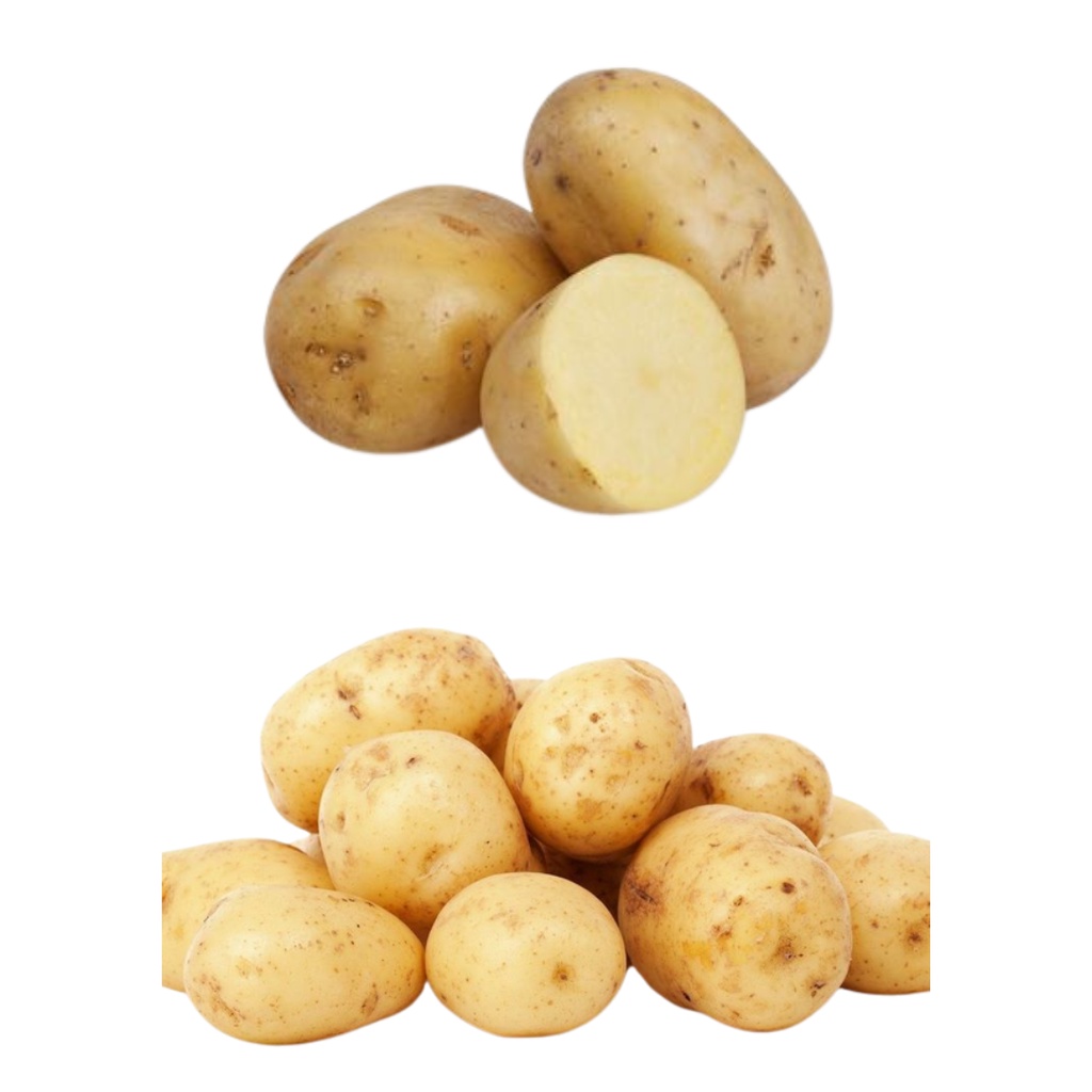 

kentang bromo ,kentang kecil super 500g