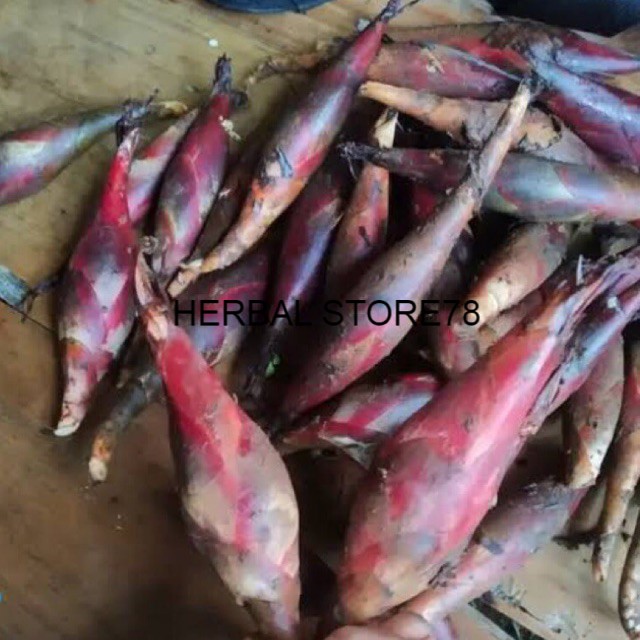 

buah galoba golobo pining