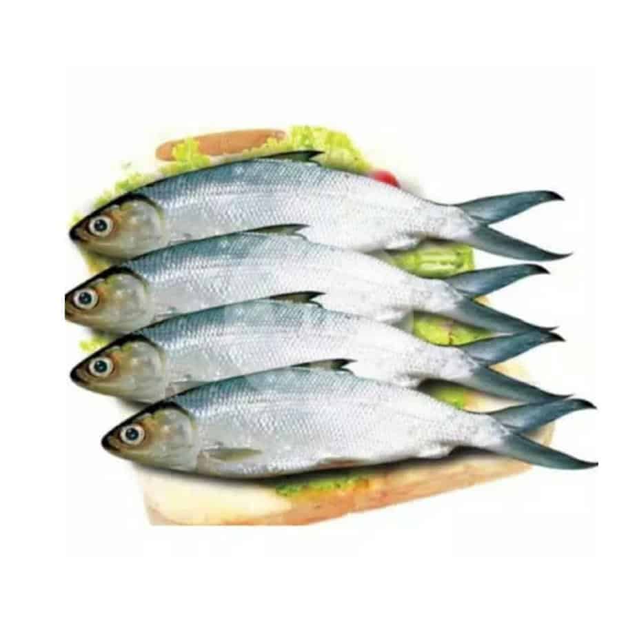 

Ikan Bandeng Basah Kecil 1 kg