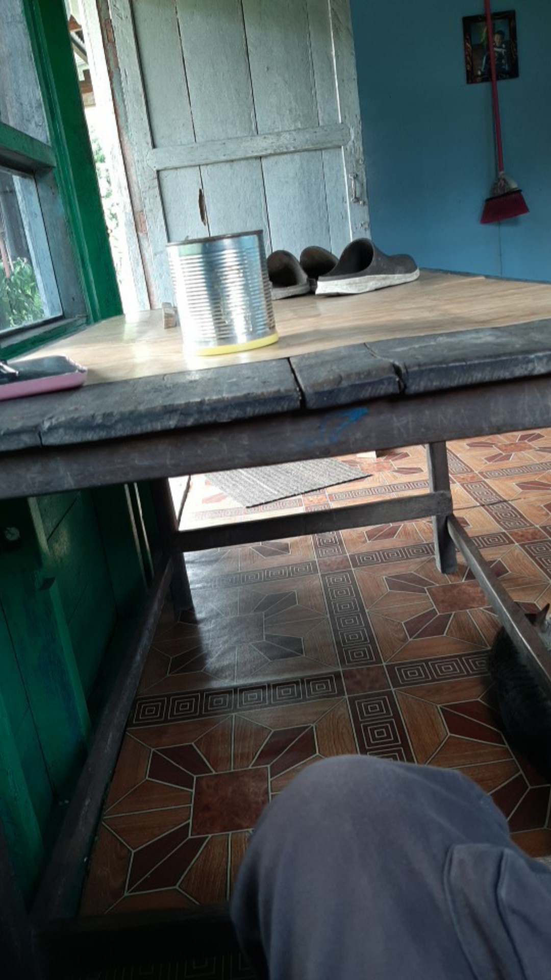 Paket Hemat Lengkap Tanpa Selang Pompa Air Doorsmeer Mini 12v Dc New Golden Fish