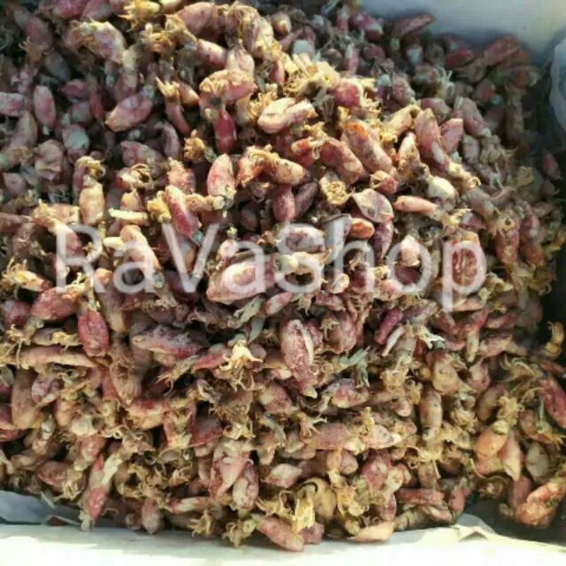 

BABY CUMI ASIN 250 gr IKAN GURIH KERING Khas Labuan Panimbang Banten