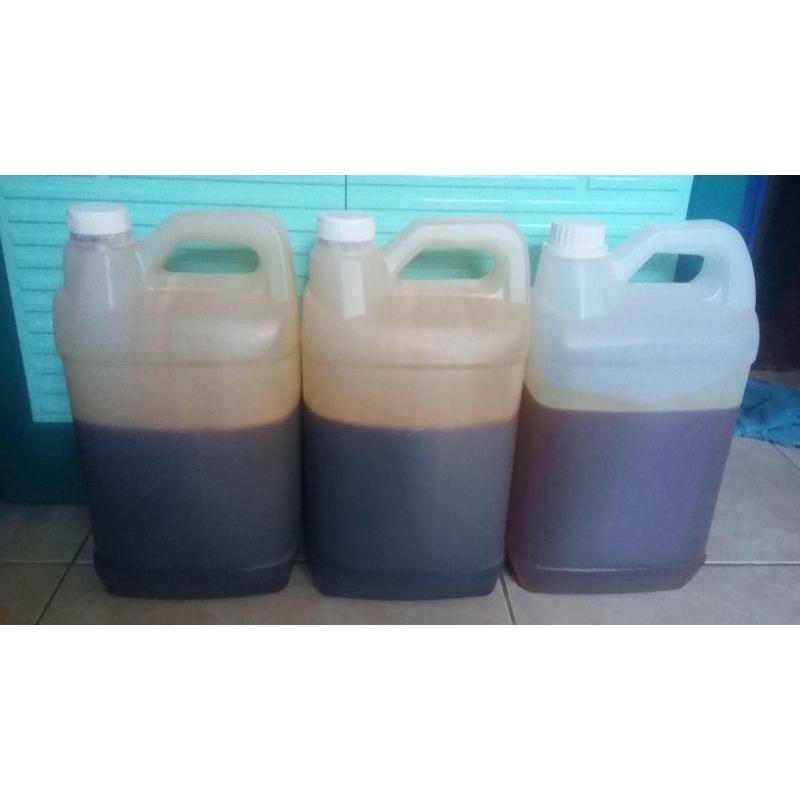 

madu hutan apis dorsata