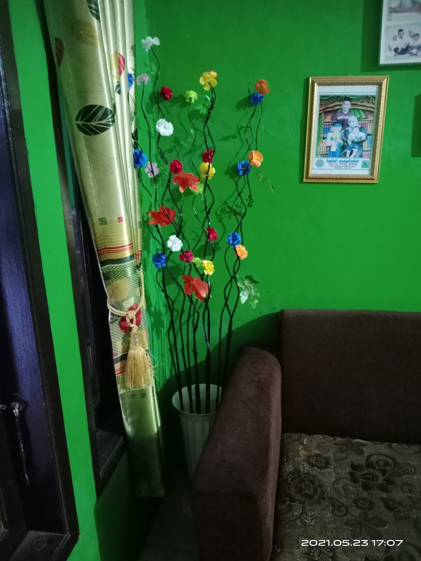 Bambu Ulir Daun Maple