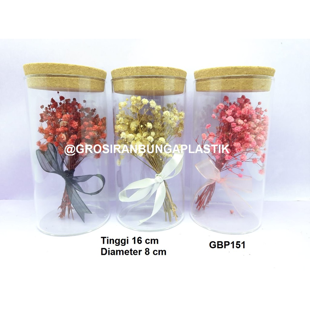 

Glass Dome/Valentine Gift/Souvenir/Kado/Bingkisan/Baby Breath GBP151