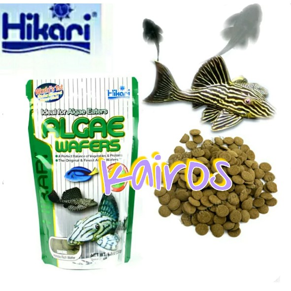 Pellet Pakan Ikan HIKARI Algae Wafers
