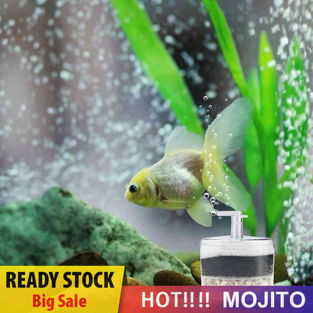 Filter Pneumatik Untuk Akuarium Ikan