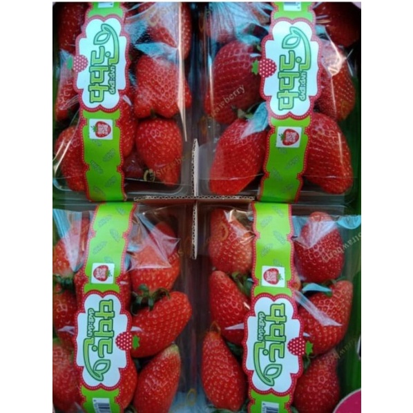 

Buah Strawberry Korea / strawberry premium Korea 1pack