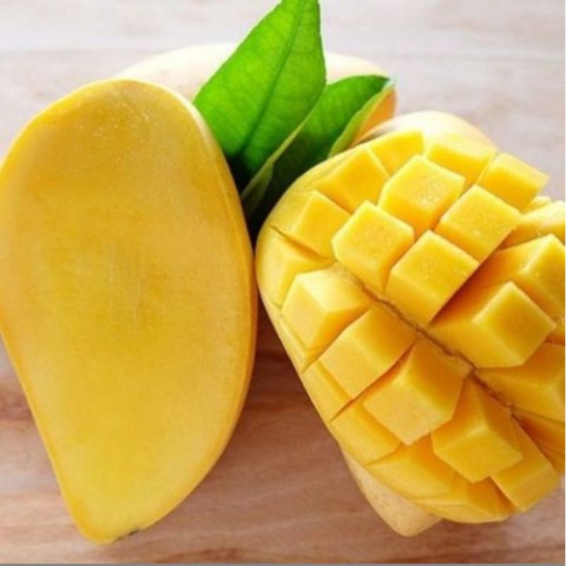 

buah mangga