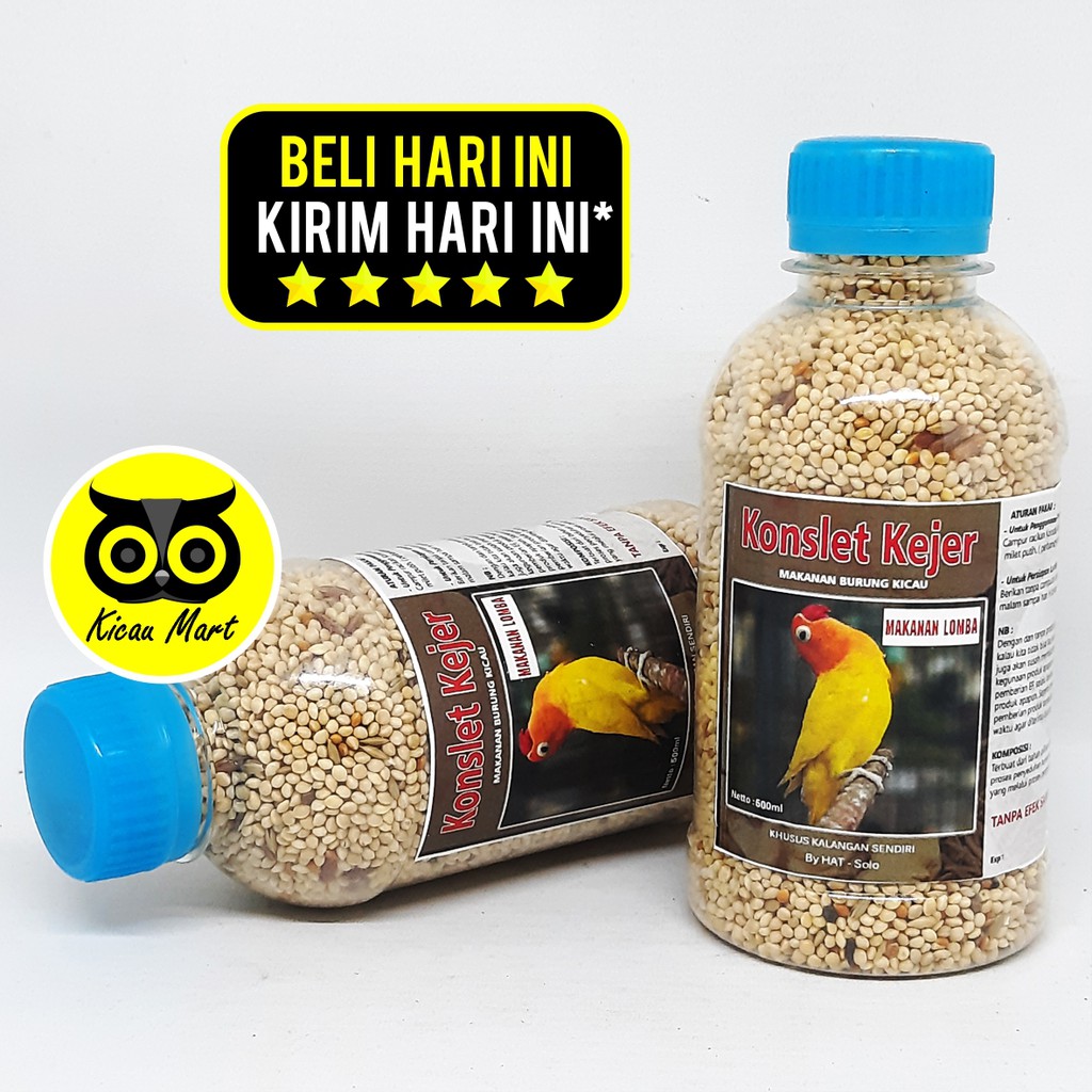 PAKAN MAKANAN LOMBA KONTES BURUNG LOVEBIRD NGEKEK KONSLET BIJI MILET MILLET KONSLET KEJER PBLLKJ