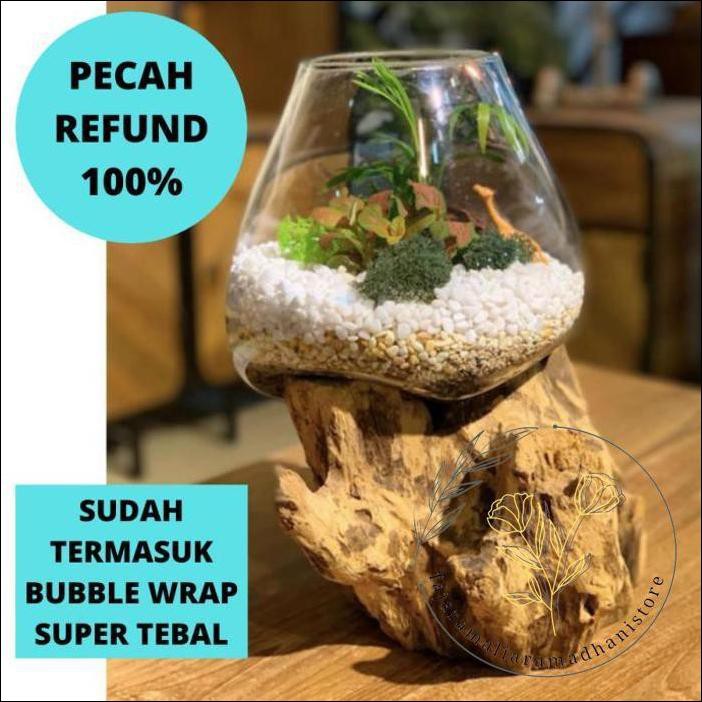 Harga Aquarium Unik Glasswood Terbaru Juni 2021 Biggo Indonesia