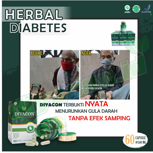 Obat Diabetes Herbal Penurun Gula Darah Ampuh