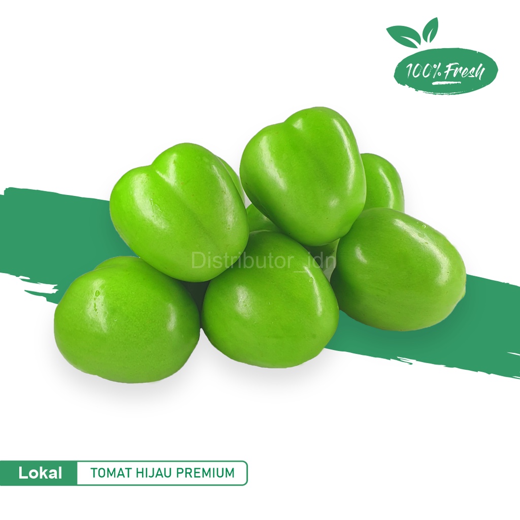 

Tomat Hijau/tomat sayur/tomat buah