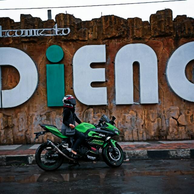 sesiliapurnamasari17