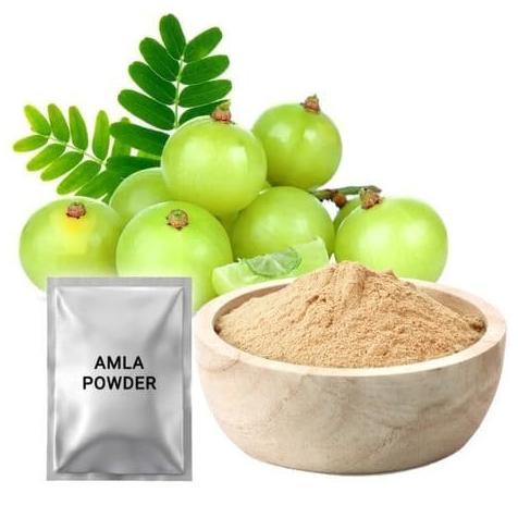 <<<<<] KUMBH AMLA POWDER 100 GR