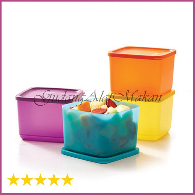 TUPPERWARE Medium Summer Fresh