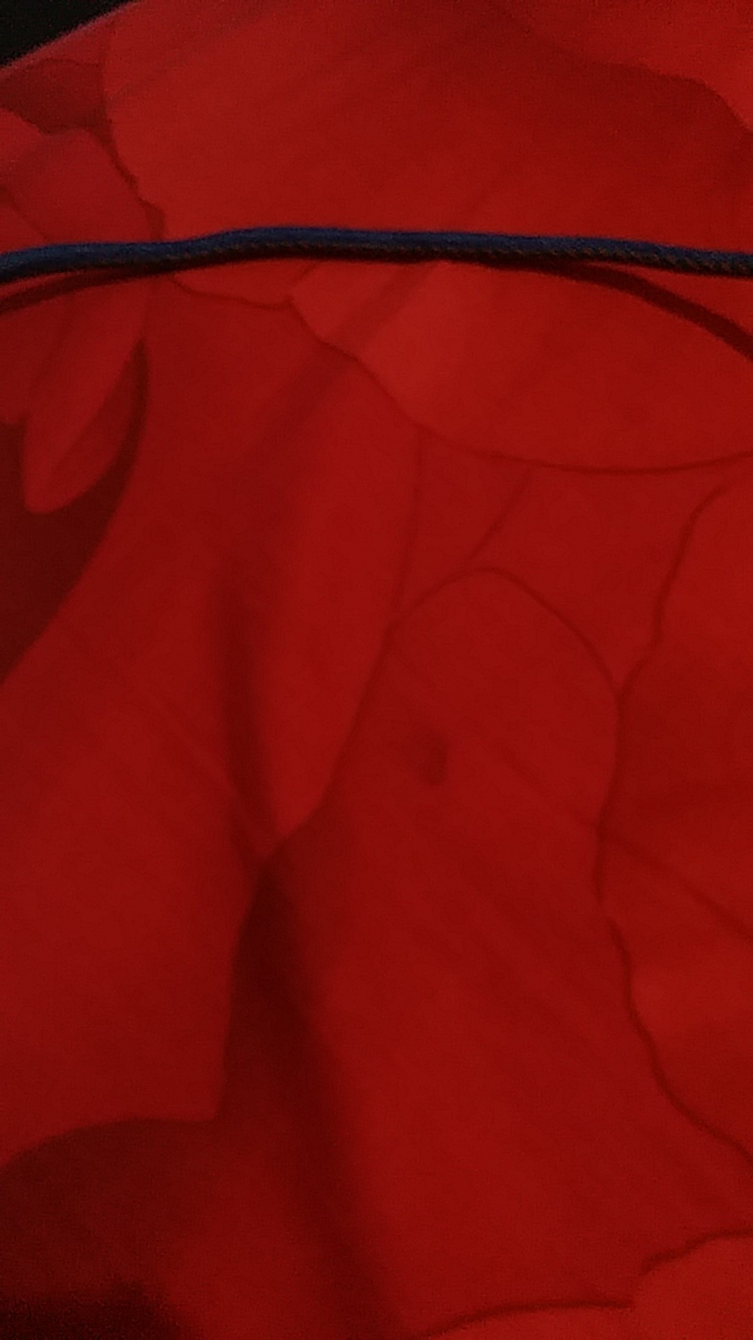 Giant Canister 8.4l Ecer 1pc