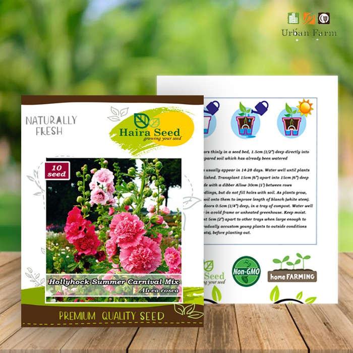 Benih-Bibit Bunga Hollyhock Summer Carnival Mix (Haira Seed)