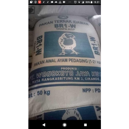 pakan anak ayam