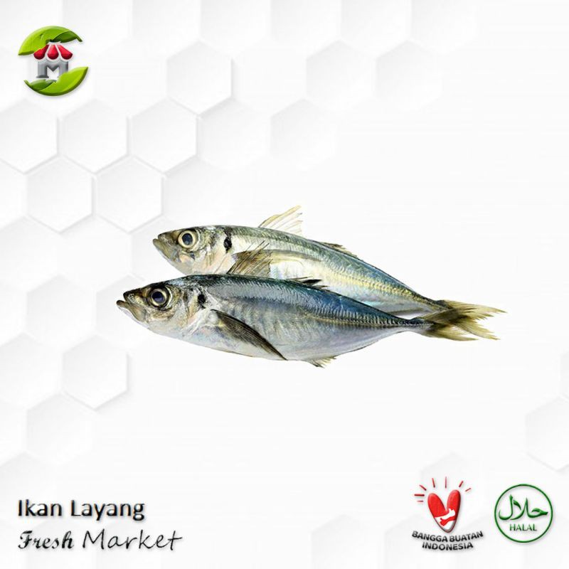 Ikan Salem Layang 900gr - 1.000gr