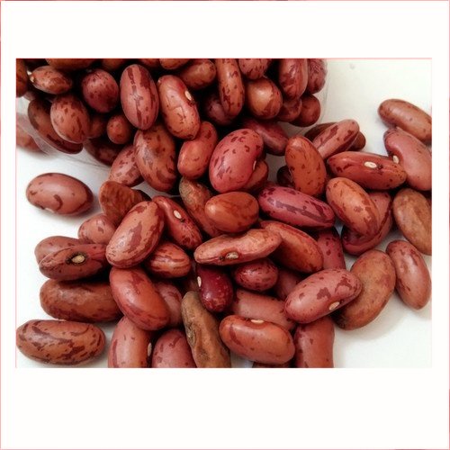 

Kacang Merah Kering 250gr | Pasar Induk Pekanbaru #Harga_Grosir